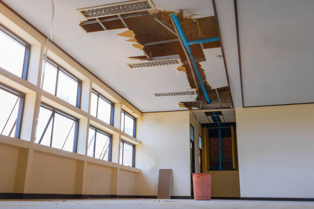 Best Mold removal after water damage  in Farley, KY