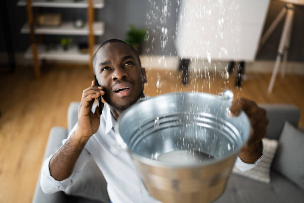 Best Sewage cleanup and water damage restoration  in Farley, KY