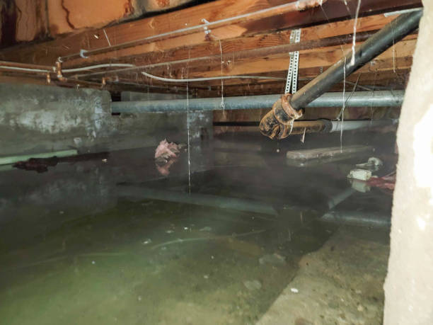 Water damage restoration insurance claims in Farley, KY