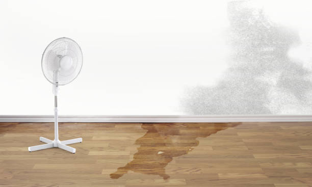 Trusted Farley, KY Water damage restoration Experts