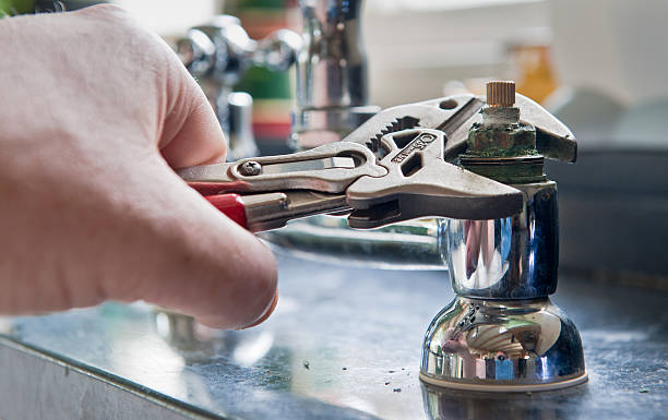 Best Water damage restoration mold remediation  in Farley, KY