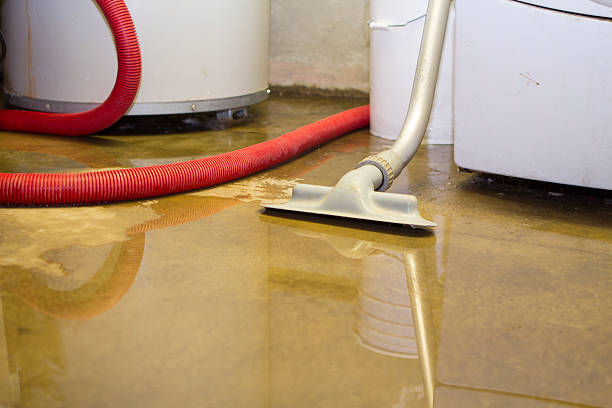 Best Residential water damage restoration  in Farley, KY