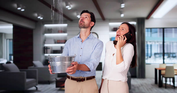 Best Water damage cleanup near me  in Farley, KY